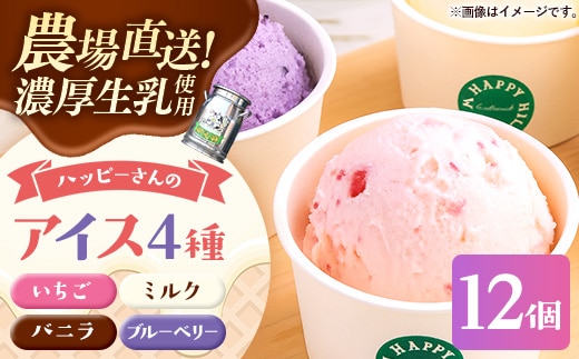 ハッピーさんのアイス 4種類12個入り アイスクリーム カップ スイーツ あいす セット ギフト プレゼント 贈り物 夏 ミルク バニラ ストロベリー ブルーベリー 農場直送 冷凍 岩手県 岩手町 