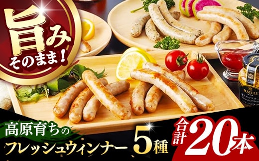 高原育ちのフレッシュウィンナー 5種詰め合わせ 20本 国産 豚肉 肉 冷凍 お肉 ウインナー フレッシュウインナー 生ウインナー ソーセージ 天然腸詰め セット パセリ オニオン ガーリック ブラックペッパー チーズ おつまみ バーベキュー 旨み ギフト 贈り物 贈答用 岩手県 岩手町 いわちく