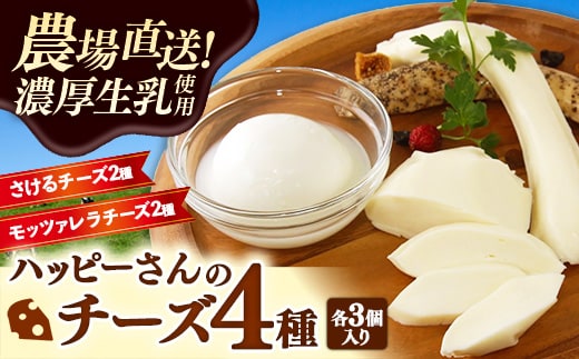 ハッピーさんのチーズ4種セット各3個入り チーズ モッツァレラ さけるチーズ 牛乳 おつまみ ちーず 乳製品 生乳 乳 国産 国産チーズ 食べ比べ セット 詰合せ 詰め合わせ アソート 家飲み 有塩 無塩 プレーン ブラックペッパー 岩手 岩手県 岩手町 ハッピーヒルファーム