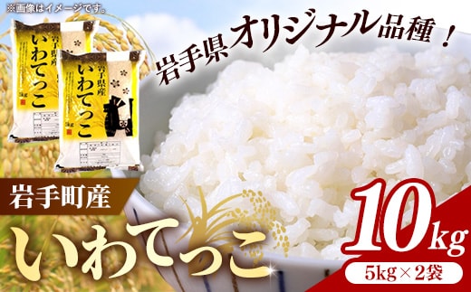 令和7年産岩手町産いわてっこ精米 10kg 米 白米 ごはん 新鮮 粘り 甘み おすすめ 銘柄 送料無料 農家直送 こめ 岩手 岩手町 岩手県 Mふぁ～む within2025