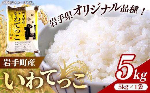 令和7年産岩手町産いわてっこ精米 5kg 米 白米 ごはん 新鮮 粘り 甘み おすすめ 銘柄 送料無料 農家直送 こめ 岩手 岩手町 岩手県 Mふぁ～む within2025