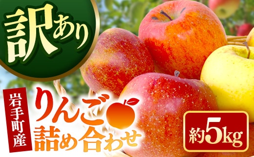 【訳あり】岩手町産りんご詰め合わせ約5kg 令和7年産 訳アリ 家庭用 規格外 不揃い りんご リンゴ サンふじ シナノゴールド シナノスイート 北斗 5kg フルーツ 果物 くだもの アップル 甘み 酸味 ジューシー セット 詰め合わせ 道の駅 産直 直送 岩手産 岩手町産 岩手県 岩手町 ふるさと振興公社