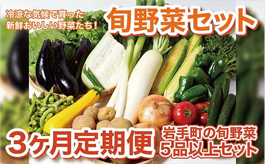 岩手町産の旬野菜セット（5品以上）3ヶ月定期便