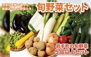 岩手町産の旬野菜セット 野菜 旬 やさい 新鮮 採れたて 詰合せ セット おまかせ