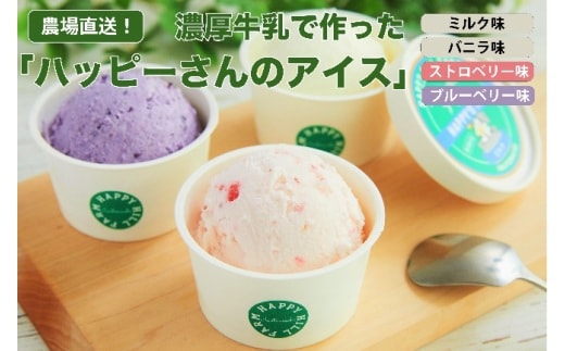 ハッピーさんのアイス ４種類６個入り アイスクリーム カップ スイーツ あいす セット ギフト プレゼント 贈り物 夏 ミルク バニラ ストロベリー ブルーベリー 