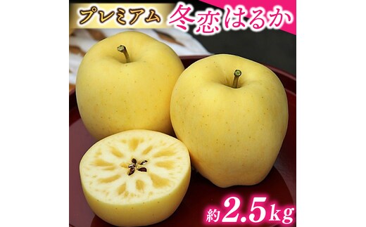 りんご プレミアム 「冬恋」はるか 糖度16度以上【先行予約 12月発送予定】 数量限定 岩手県産 高級 りんご リンゴ 林檎 冬恋 はるか フルーツ くだもの 果物 【冬恋研究会】 (AI021)