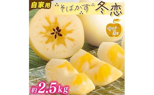 りんご 「そばかす冬恋」（自家用「冬恋 はるか」 サビ有） 糖度15度以上【先行予約 12月発送予定】 数量限定 ★サビあり りんご★ 岩手県産 りんご リンゴ 林檎 冬恋 はるか フルーツ くだもの 果物 訳あり 【冬恋研究会】 (AI023)