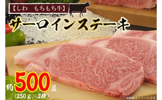 黒毛 和牛【しわ もちもち牛】 サーロイン ステーキ 約500ｇ (250ｇ×2枚) (AM002-1)