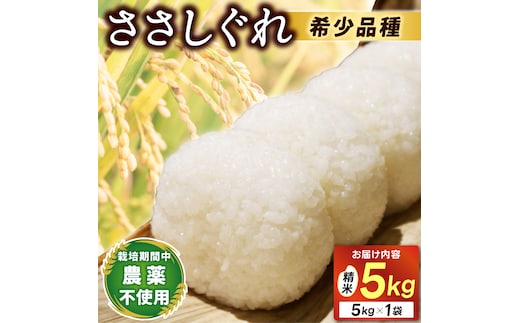 ★令和7年産★ 新米 ささしぐれ 5kg（精米）ふるさと納税 米 岩手県 (DE006)