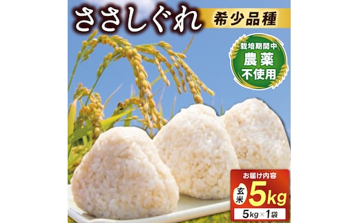 ★令和7年産★ 新米 ささしぐれ 5kg（玄米）ふるさと納税 米 岩手県 (DE008)
