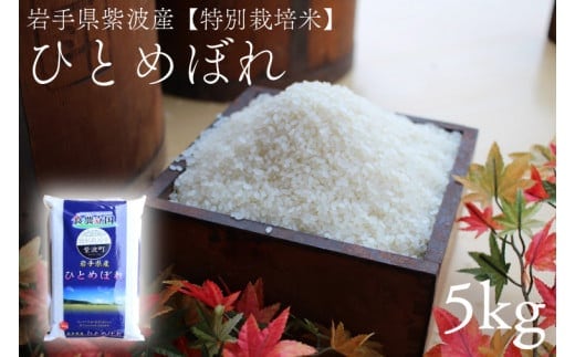 【特別栽培米】★令和7年産★ 安全 安心 環境保護 さめてもおいしい 「ひとめぼれ 5kg」 (AD045)