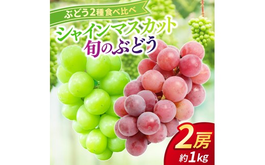 ぶどう食べ比べ 2房（約1kg）旬のぶどう＆シャインマスカット 【2026年9月下旬発送開始】 葡萄 ブドウ セット アソート シャインマスカット 安芸クイーン クイーンニーナ ロザリオロッソ ピオーネ 高妻 藤稔 採れたて 大粒 生産農家直送 農家直送 数量限定 果物 フルーツ 岩手県 (DH005)
