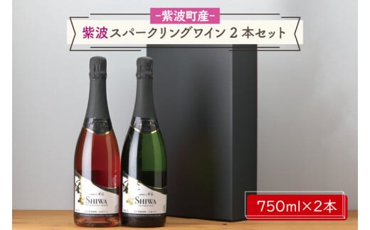 AL065-1 産地限定 ワインぶどう品種使用 紫波スパークリングワイン２本セット 白・ロゼ 紫波町産 テロワール ワイン