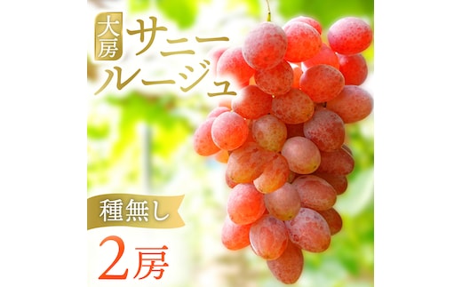 【先行予約】サニールージュ 約1kg ( 2房 ) (AR031) 2026年産 ぶどう 希少品種 8月下旬発送 岩手県 紫波町産 産地直送 フルーツ ギフト 贈答用 数量限定 完熟 甘い 葡萄 ブドウ