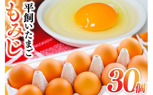 たまご 玉子 鶏卵 純国産鶏もみじ 平飼い卵 30個 (破損保証5個含む) 生産者 採れたて 新鮮 たまご 養鶏場より直送 (AJ023)