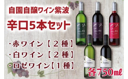 産地限定 ワインぶどう品種 使用 「自園自醸ワイン紫波辛口５本セット」紫波町産 テロワール ワイン (AL035)
