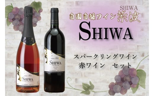 AL063-1 産地限定 ワインぶどう品種使用 スパークリングワイン・赤ワインセット 自園自醸ワイン紫波 紫波町産 テロワール ワイン