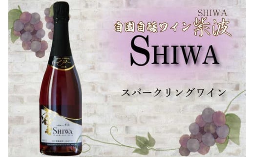 AL064-1 産地限定 ワインぶどう品種使用 スパークリングワイン 自園自醸ワイン紫波 紫波町産 テロワール ワイン
