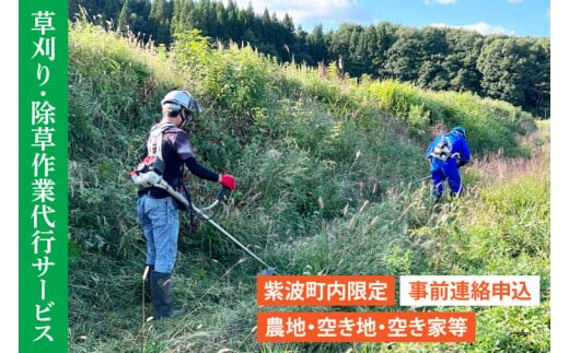 DQ001 【要事前連絡】草刈り、除草作業サービス（農地、空き地、空き家等）