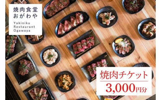 DR001 おがわや焼肉チケット 3000円分