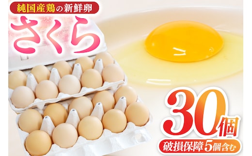 【浅沼養鶏場】卵たまご 卵 玉子 鶏卵 純国産鶏 さくら 純たまご 30個入り 破損保証5個含む 採れたて 新鮮 農地直送 (AJ027)
