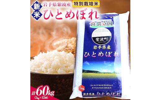 【 新米 】【12回定期便】お米 5kg ( 総計60kg ) 白米 ひとめぼれ 特別栽培米 ★令和8年産★ 精米 米 おこめ ご飯 令和8年 特別栽培 仕送り お弁当 5キロ 定期便 定期 コメ 岩手県 紫波町産 (AD081)
