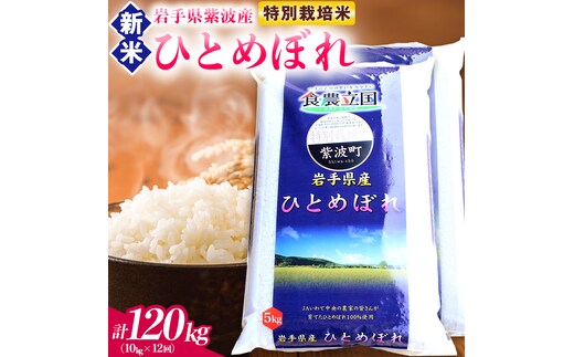 【 新米 】【12回定期便】お米 10kg (5kg×2) ( 総計120kg ) 白米 ひとめぼれ 特別栽培米 ★令和8年産★ 精米 米 おこめ ご飯 令和8年 特別栽培 仕送り お弁当 5キロ 10キロ 定期便 定期 コメ 岩手県 紫波町産 (AD086)
