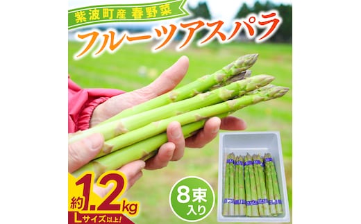 ＼先行予約・数量限定／紫波町産フルーツアスパラ ★Lサイズ以上★ 約1.2kg (150g束×8束入り) 露地栽培の野菜 木酢液防虫 新鮮野菜 生でもたべれる (CS002) 