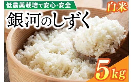 【新米】令和7年産 銀河のしずく 5kg (精米) 低農薬栽培米 生産者直送 (EI012)