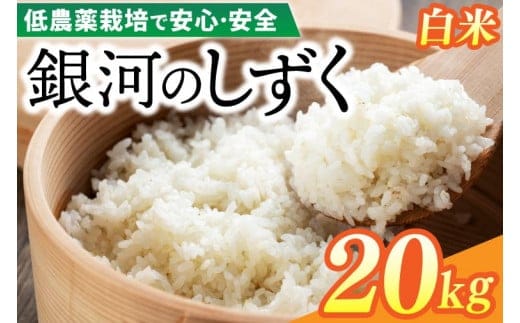 【新米】令和7年産 銀河のしずく 20kg (精米) 低農薬栽培米 生産者直送 (EI014)
