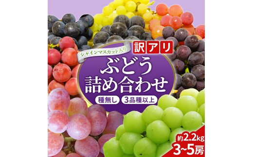 ＼訳あり ご家庭用／大粒ぶどう（種なし）詰合せ 合計 3～5房入 ブドウ 葡萄 フルーツ 果物 旬 わけあり 先行予約 食べ比べ (DM004)