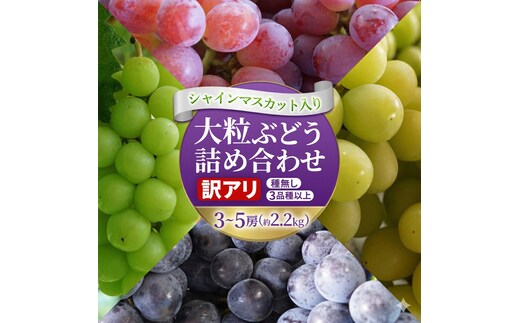 ＼訳あり ご家庭用／大粒ぶどう（種なし）詰合せ 合計 3～5房入 ブドウ 葡萄 フルーツ 果物 旬 わけあり 先行予約 食べ比べ (DM004)