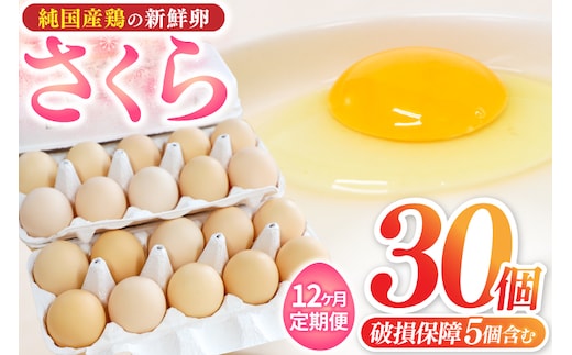 【選べる定期便】たまご 卵 玉子 鶏卵 純国産鶏 さくら 純たまご30個 破損保証5個含む 採れたて 新鮮 農地直送 12ヶ月 定期便 卵料理 卵焼き 卵かけご飯 オムレツ 朝食】 (AJ030)