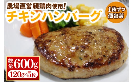 【浅沼養鶏場】国産 親鶏の旨味たっぷり チキンハンバーグ 約120g×5枚 (約600g) 小分け 冷凍 簡単調理 餌にこだわった 親鶏肉使用 ハンバーグ チキン メンチ カツ BBQ 産地直送 (AJ017)