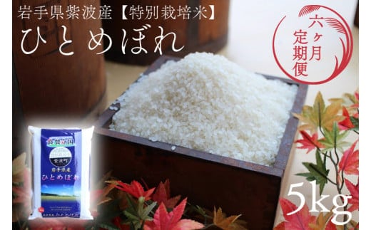 ★令和7年産★【6回定期便】特別栽培米 ひとめぼれ5kg 岩手県紫波町産 (AD048)