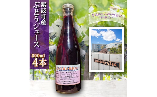 ＼紫波の高校生が作りました！／紫波町産 ぶどうジュース 300ml 4本入り ｜岩手 紫波町 ぶどうジュース 紫波 高校 岩手県立紫波総合高等学校 選べる フレッシュ(EC002)