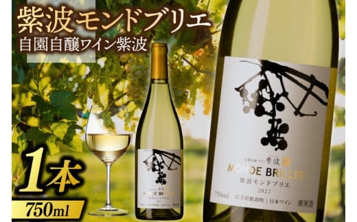 産地限定 ワイン ぶどう品種使用 紫波 モンドブリエ 自園自醸ワイン 紫波 紫波町産 ぶどう 白 やや辛口 ワイン (AL081) 