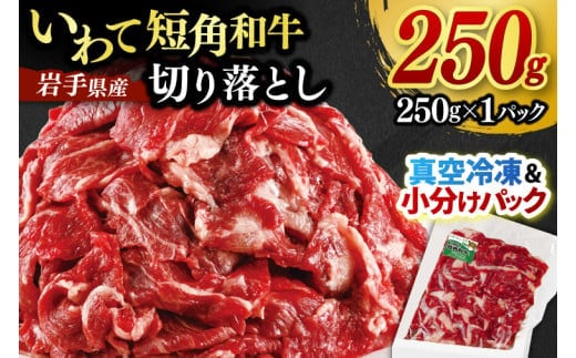 ★先行予約 2月下旬より発送★ 切り落とし 赤身 肉 牛肉 いわて 短角和牛 250g 小分けパック 真空冷凍 | 牛肉 肉 赤身 短角 和牛 国産牛 ブランド牛 切り落し 大容量 牛丼 肉じゃが 煮込み 煮物 小分け 真空パック 数量限定 (AB109)
