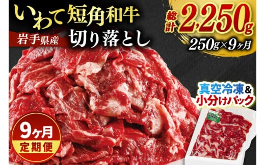 ★先行予約 2月下旬より発送★ ＼9ヶ月連続 定期便／ 切り落とし 赤身 肉 牛肉 いわて 短角和牛 250g (総計 2250g) 小分けパック 真空冷凍 | 牛肉 肉 赤身 短角 和牛 国産牛 ブランド牛 切り落し 大容量 牛丼 肉じゃが 煮込み 煮物 小分け 真空パック 数量限定 (AB113)