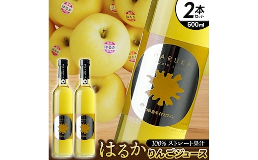 はるか りんごジュース ２本セット【ジュース 果汁100％ ストレートジュース フルーツジュース 岩手県 紫波町産 りんご】（EX001）