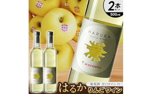 はるか りんごワイン ２本セット【ワイン フルーツワイン 岩手県 紫波町産 りんご】（EX002）