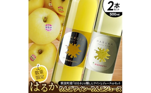 はるか りんごジュース・りんごワイン セット【ジュース 果汁100％ ストレートジュース フルーツジュース ワイン 岩手県 紫波町産 りんご】 (EX003)