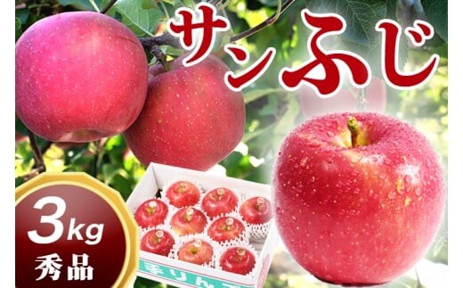 サンふじ 3kg 贈答用 りんご 岩手 紫波町産 秀品 (DV053)