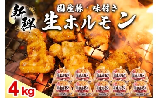 国産豚 味付き 生ホルモン ミックス(レバー入り) 4000g (400g×10パック) (DV051)
