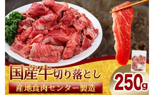 ★先行予約 2月中旬より発送★ 国産牛切り落とし250g（DV069）