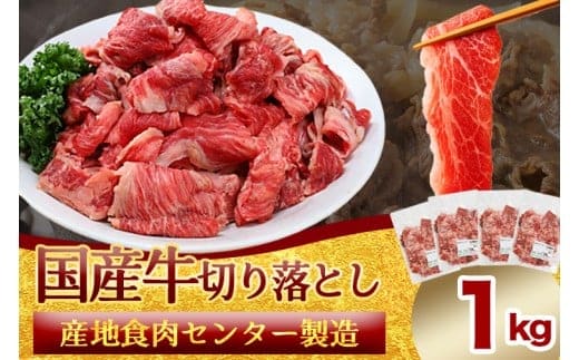 ★先行予約 2月中旬より発送★ 国産牛切り落とし1kg（250g×4パック）（DV071）