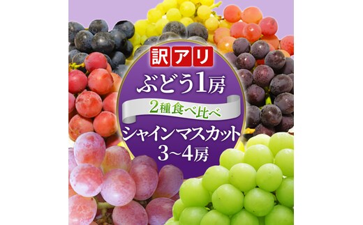 ＼訳あり ご家庭用／シャインマスカット (3～4房) ＆ 種なし 大粒ぶどう (1房) 合計 4～5房入 ブドウ 葡萄 フルーツ 果物 旬 わけあり 先行予約 食べ比べ(DM006)