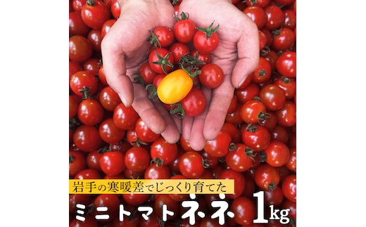 ミニトマト ネネ 1kg とまと トマト ミニ 野菜 フルーツ 1kg 新鮮 夏野菜 産地直送 岩手県 (FF002)