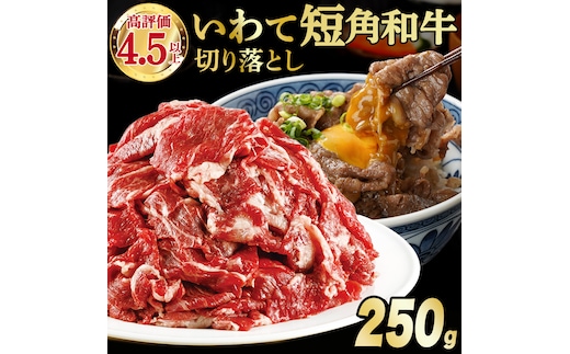 【8月発送】切り落とし 赤身 肉 牛肉 いわて 短角和牛 250g 小分けパック 真空冷凍 | 牛肉 肉 赤身 短角 和牛 国産牛 ブランド牛 切り落し 大容量 牛丼 肉じゃが 煮込み 煮物 小分け 真空パック 数量限定 (AB109-08)