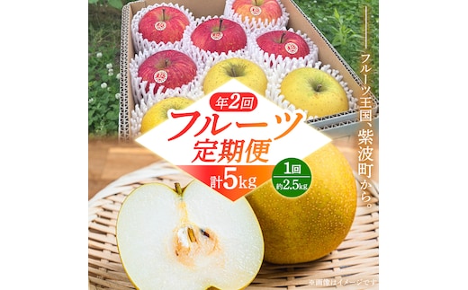フルーツ 定期便【年2回】計 5kg（各約2.5kg） 梨 りんご 和梨 サンふじ シナノゴールド 愛甘水 林檎 リンゴ サンフジ フルーツ なし 果物 くだもの 食べ比べ 定期便 フルーツ定期便 季節 詰め合わせ セット 果物定期便 先行予約 数量限定 2026 令和8年産 農家直送 産地直送 2回定期 デザート 旬 季節の果物 ふるさと納税 2.5kg 岩手県 紫波町 岩手 あいかんすい ナシ (FB001)